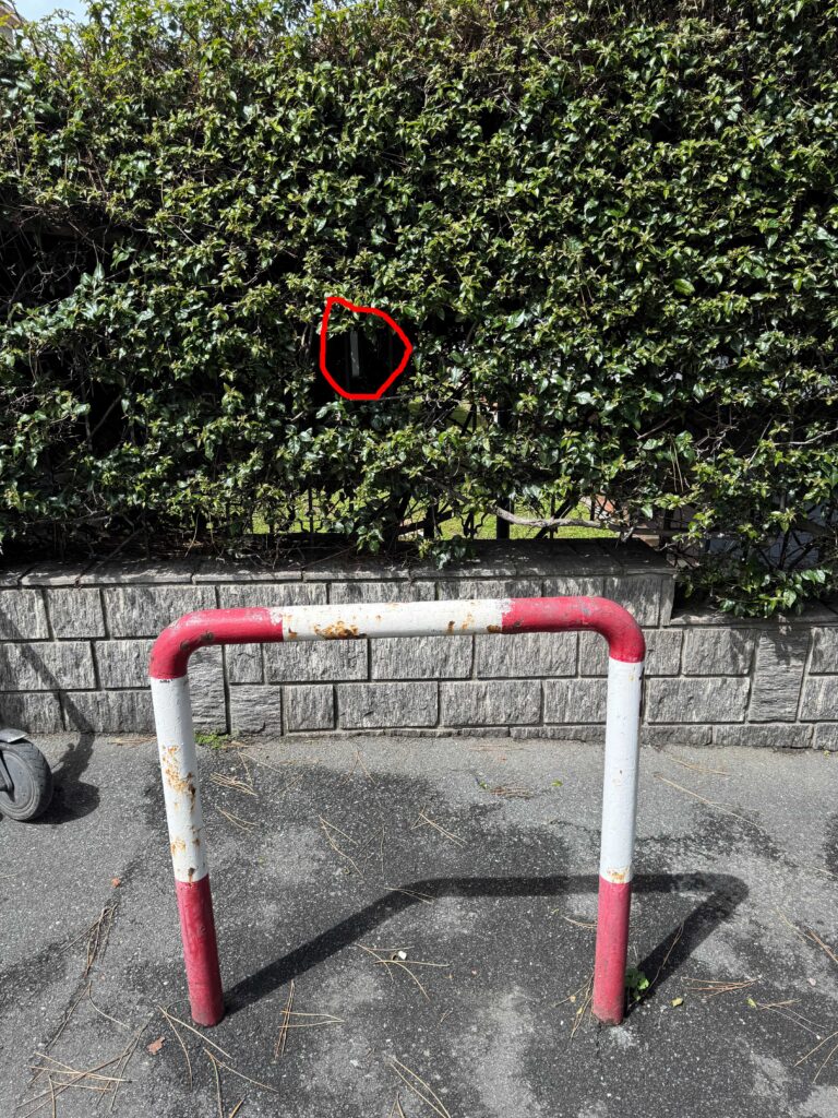 This image has an empty alt attribute; its file name is IMG_3796-1-768x1024.jpg